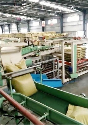 Customizable and Automatic Feed Palletizer for Bagging Plant 4100mm*1600mm*1450mm