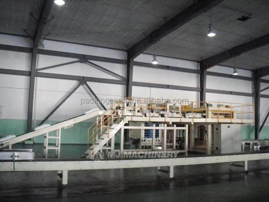 Automatic Grade Automatic High Speed Palletizer for Top Load Pallet Stacking
