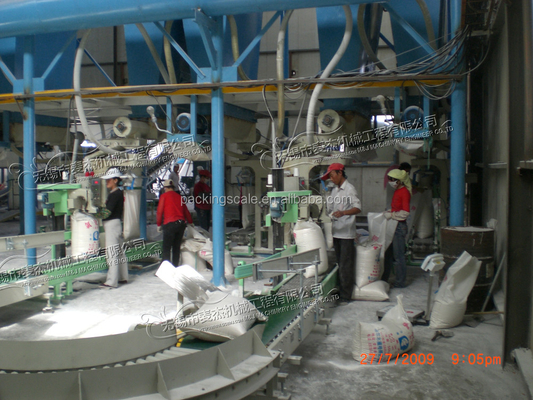 Bag Packing System for 25kg Wheat Flour Machinery Hardware ISO9001 2008 Certified