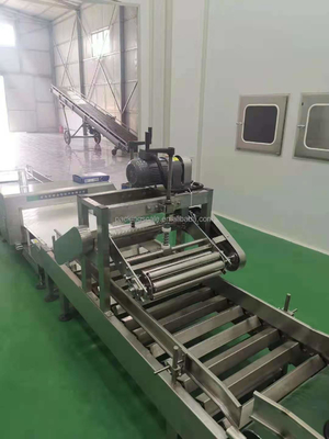 2022 Voltage 50-60Hz Automatic Bag Flattener Shaping Machine for Your Packaging Needs
